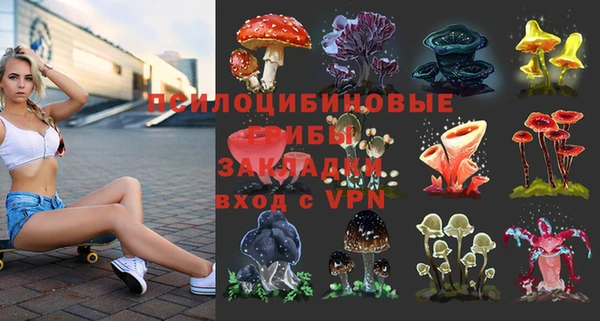 мяу мяу мука Беломорск